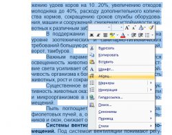 пункт меню Абзац