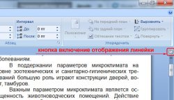 включение линейки в Ворде
